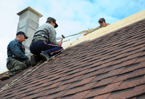Best Local Roofing Companies  in Somerville, MA